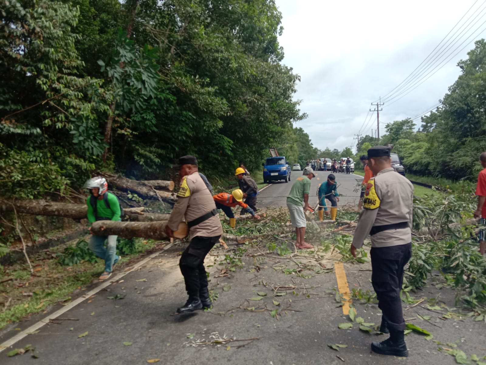 Cekatan, Polsek Gunung Kijang Polres Bintan Singkirkan Pohon Tumbang Yang Menghalangi Lalulintas Jalan Raya